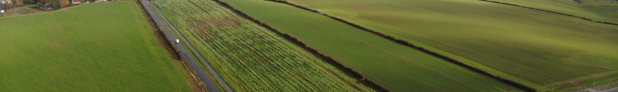 01 Dronefoto Fredericia Kommune Rasmus Holman Overgaard Trelde Cykeltsti